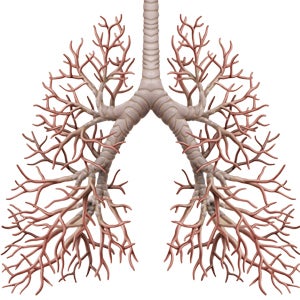 Lung Mass